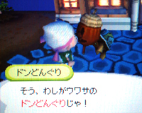 ドンどんぐり