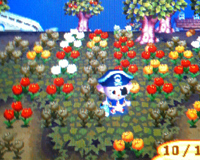トホホ・・・枯れちゃった花たち