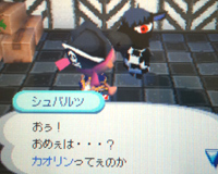 シュバルツ