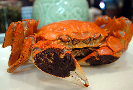 江南飯店 上海蟹