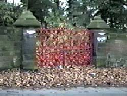 Strawberry Fields Forever