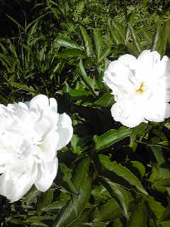 110522_074903.jpg