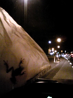 111116_180536.jpg
