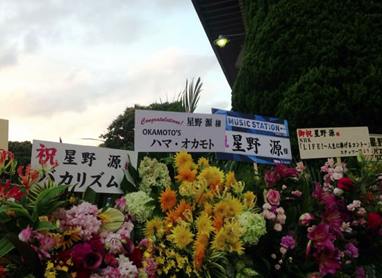 星野源のひとりエッジ in 武道館