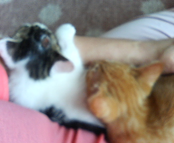P1000324.jpg