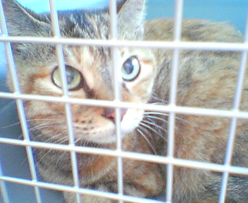 201107071344.jpg