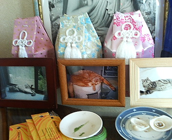 P1000399.jpg