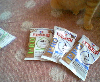 201107141155.jpg
