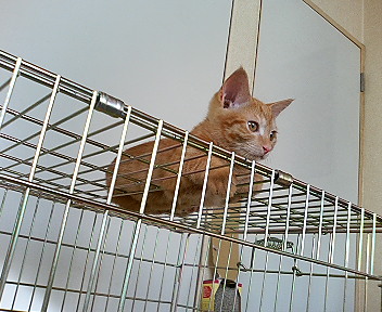 P1000419.jpg