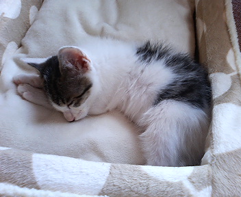 P1000417.jpg