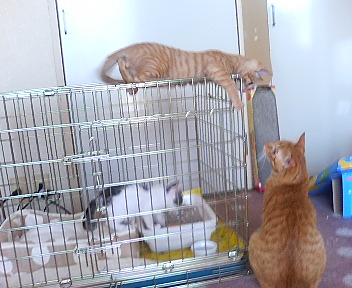 P1000416.jpg