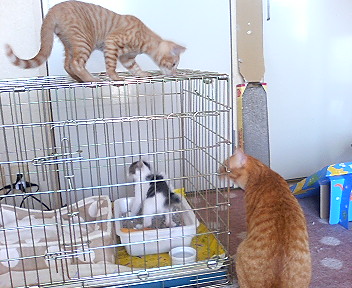 P1000414.jpg