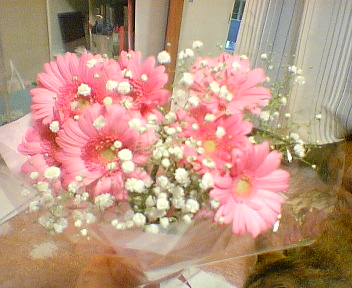 201107191026.jpg