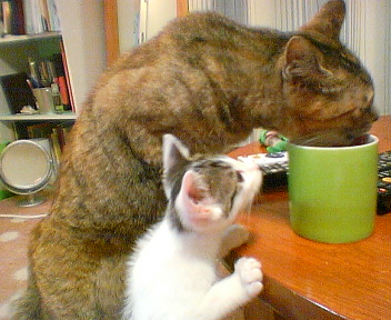 201107201046.jpg