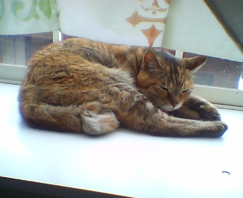 201107201100.jpg
