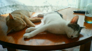 201108190858000.jpg