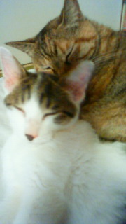 201108191352000.jpg