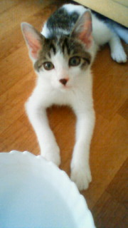 201108111219000.jpg