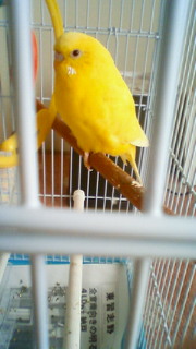 201108020906000.jpg