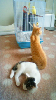 201108020905000.jpg