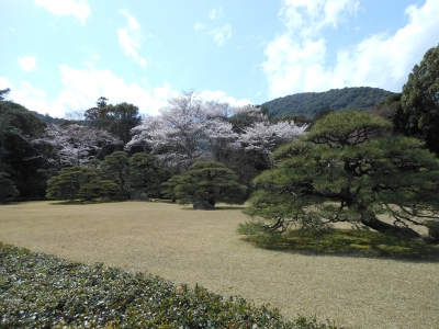 入口