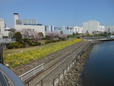 コラボ