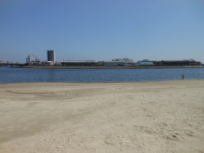 海