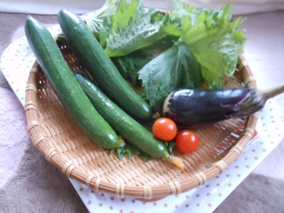 野菜