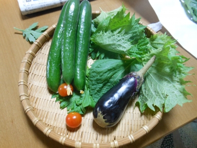 やさい