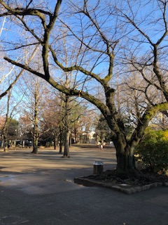 公園