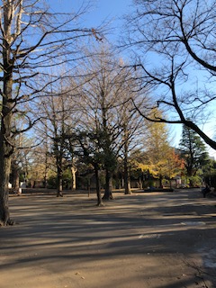 新井薬師公園