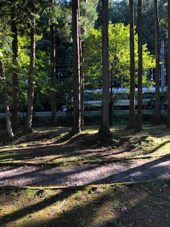 公園