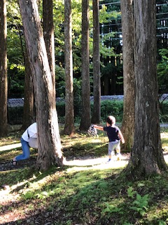 ダイヤ