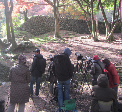 H281217-2.jpg