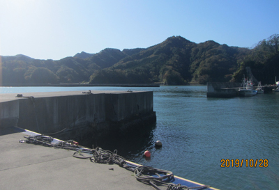 R011110-4.jpg