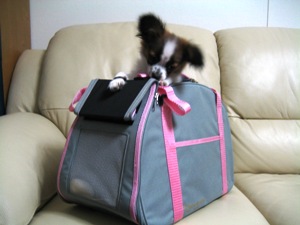 bag