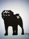 pug27