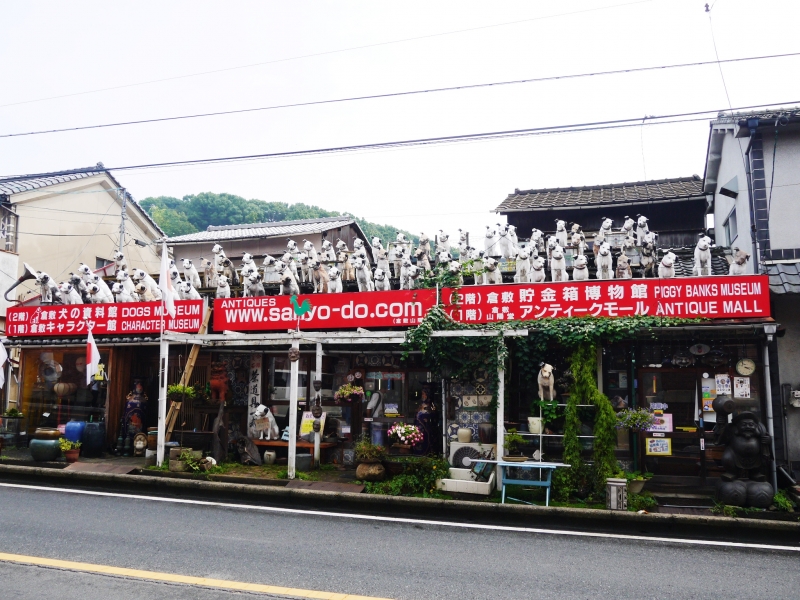 P1040653.JPG