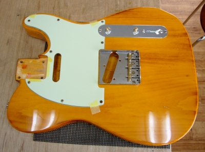 Fender Japan TL62 ギター ネック テレキャスター | www