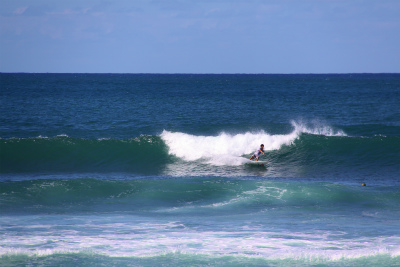 sIMG_0785.jpg