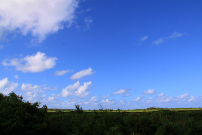 sIMG_0846.jpg