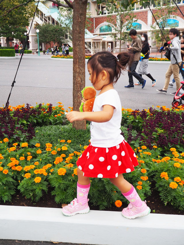 PA100017.jpg