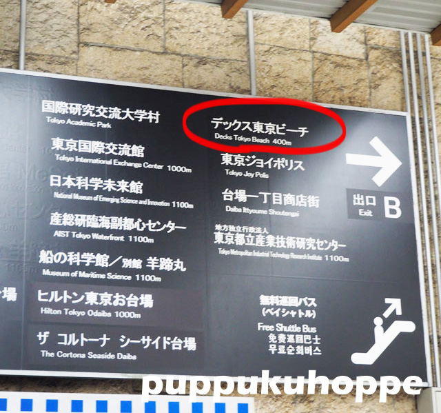 P1062529.JPG