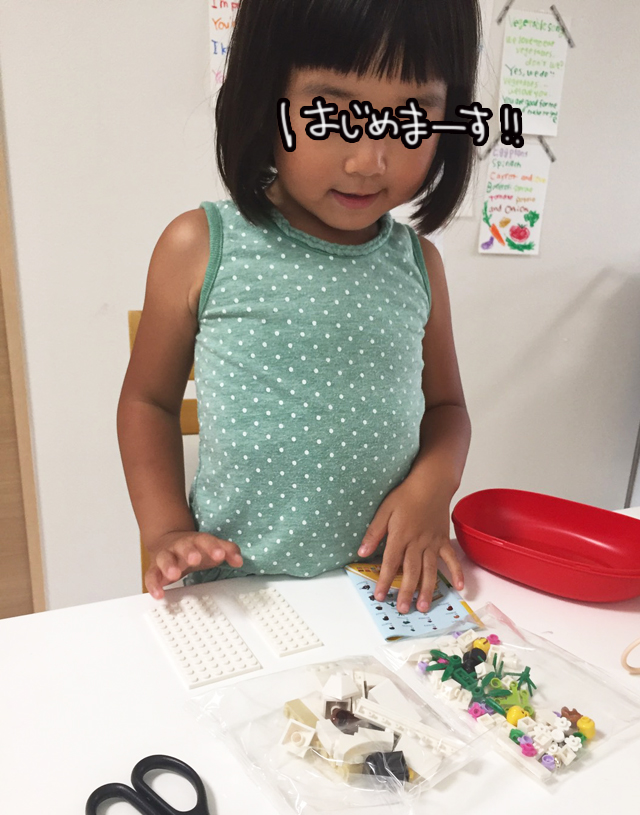 S__47284265.jpg