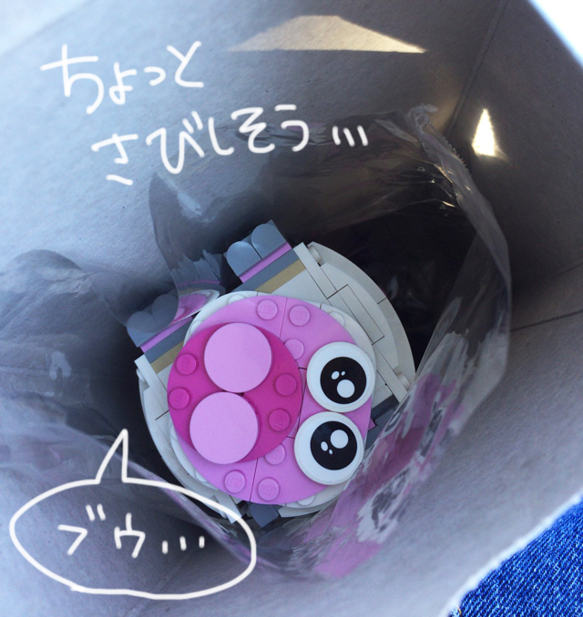 S__48234507.jpg