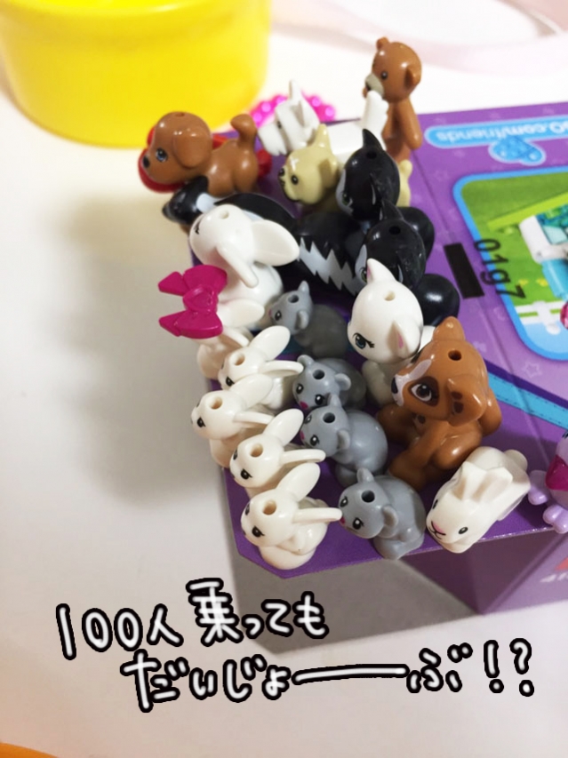 S__48480264.jpg