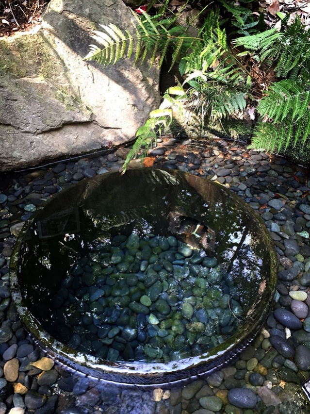 20180304_180304_0005.jpg