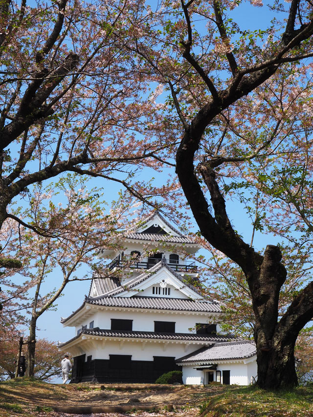 P4043779.jpg