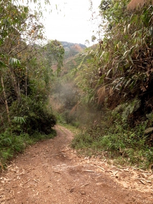 山道