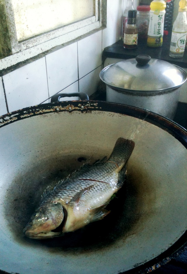 魚